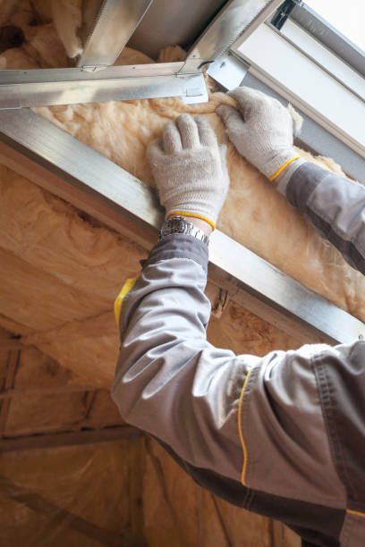 Best Commercial Insulation in Chalco, NE